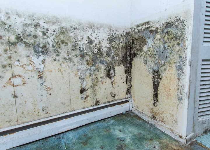water damage to walls and floor causing mold in Brooksville, FL
